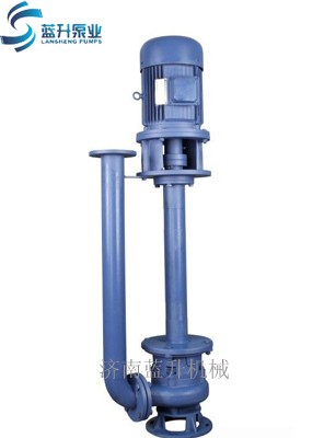 山東藍升耐腐蝕液下泵廠(chǎng)家